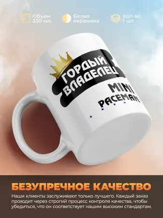Кружка "Гордый владелец MINI Paceman"